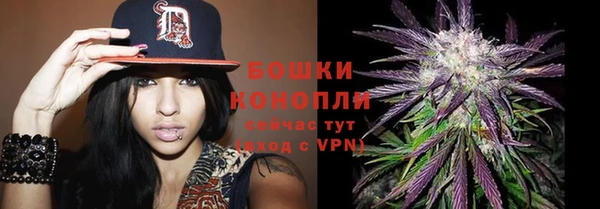 гашик Зерноград