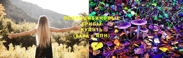 МДМА Белокуриха