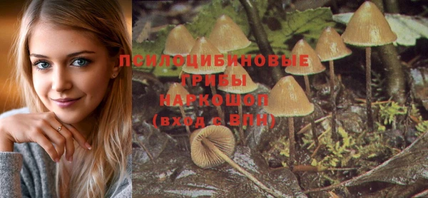 тгк Балахна