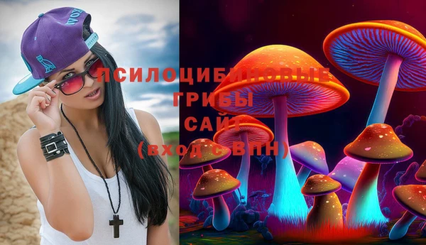 МДМА Белокуриха
