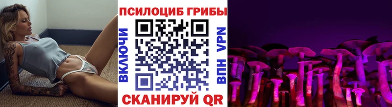 наркотики  Гаврилов-Ям  hydra рабочий сайт  Галлюциногенные грибы Psilocybe 